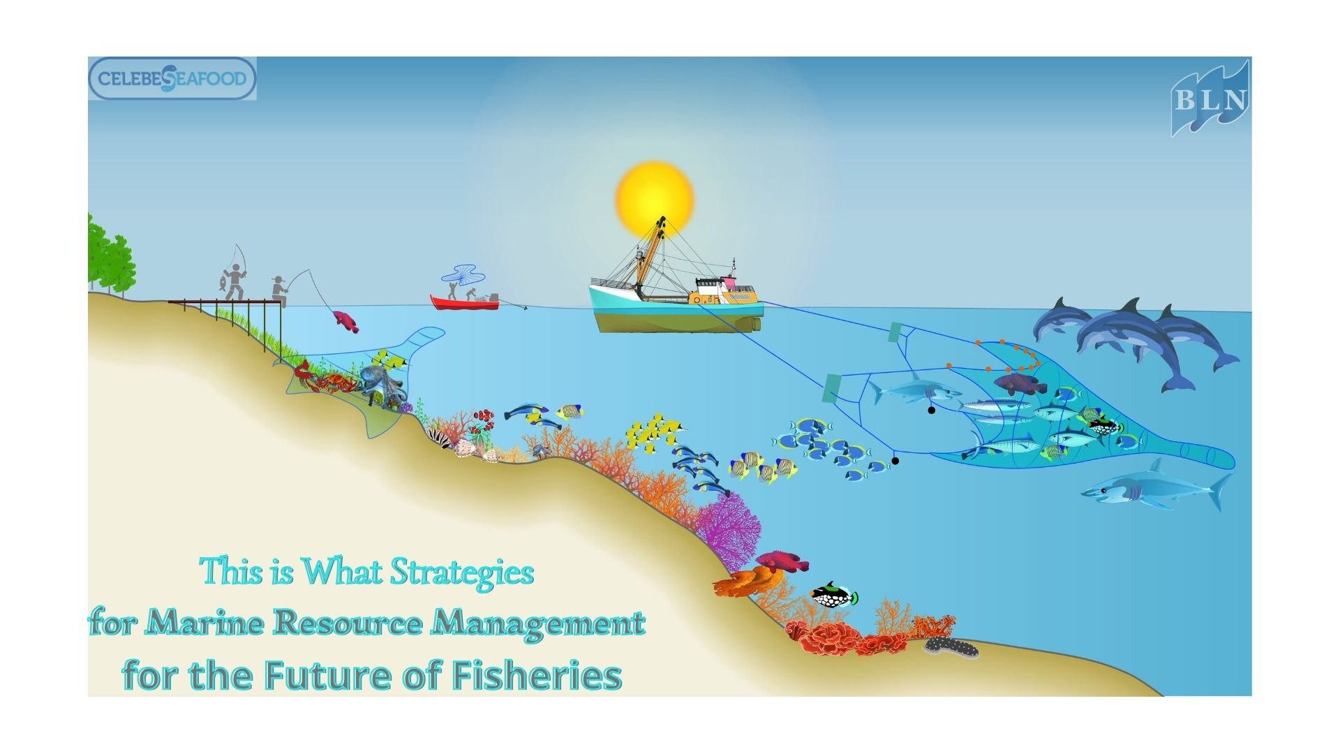 This is What Strategies for Marine Resource Management for the Future of Fisheries